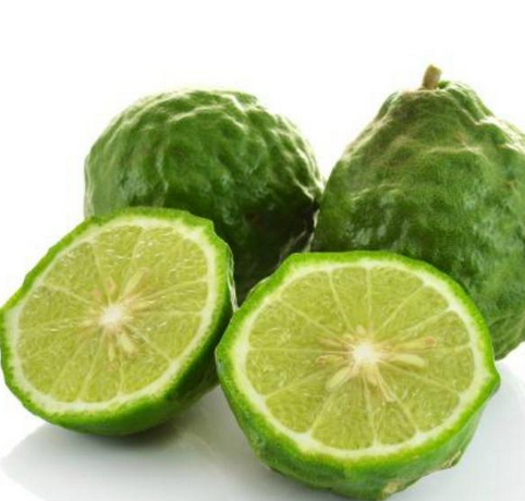 Kaffir Lime Fidanı
